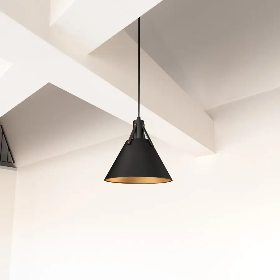Archer 10-Inch Pendant in Matte Black - Image 2