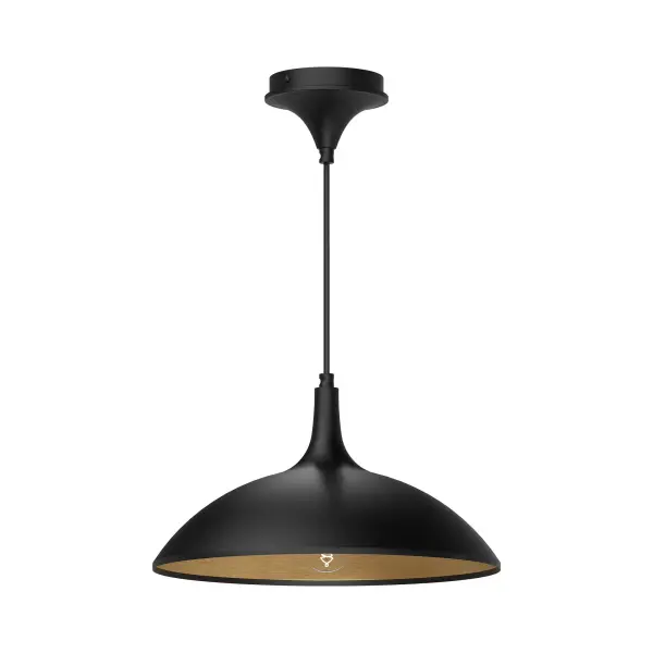 Abel 14-Inch Pendant in Brushed Gold - Image 7