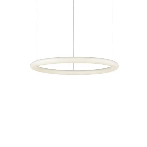 The Pendants by Kalco - Image 1