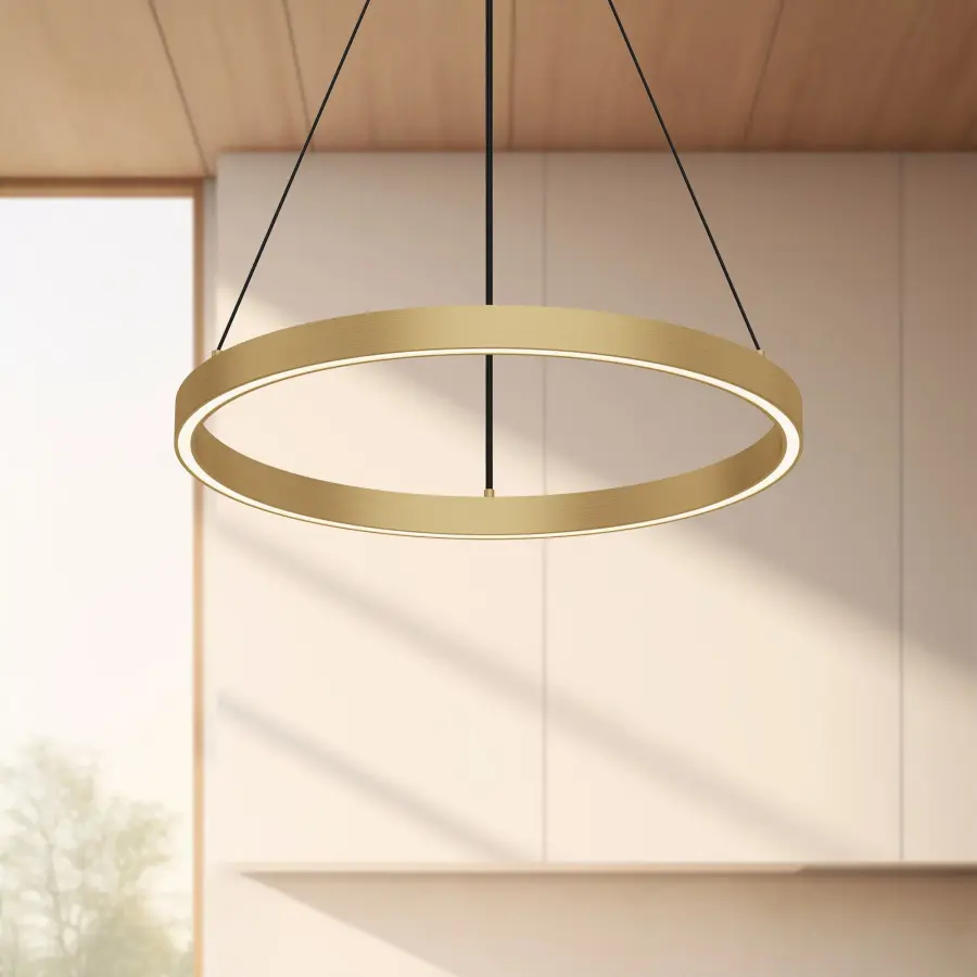 Modern Circular Pendant with Sophisticated Up/Down Lighting - Image 3