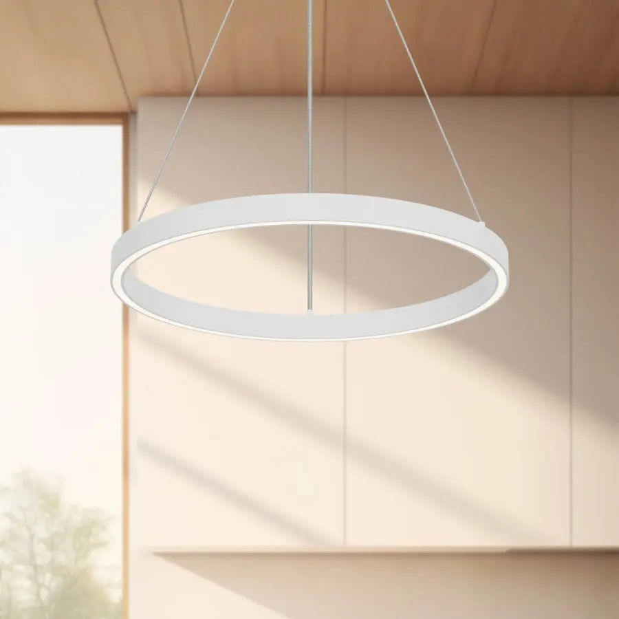 Modern Circular Pendant with Sophisticated Up/Down Lighting - Image 5