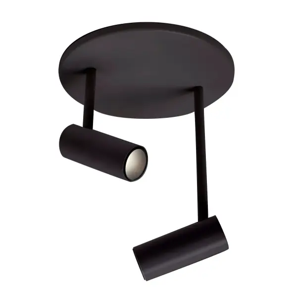 Downey 2-Head Semi-Flush Mount - Image 1