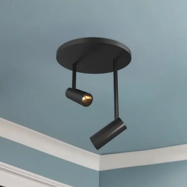 Downey 2-Head Semi-Flush Mount - Image 3