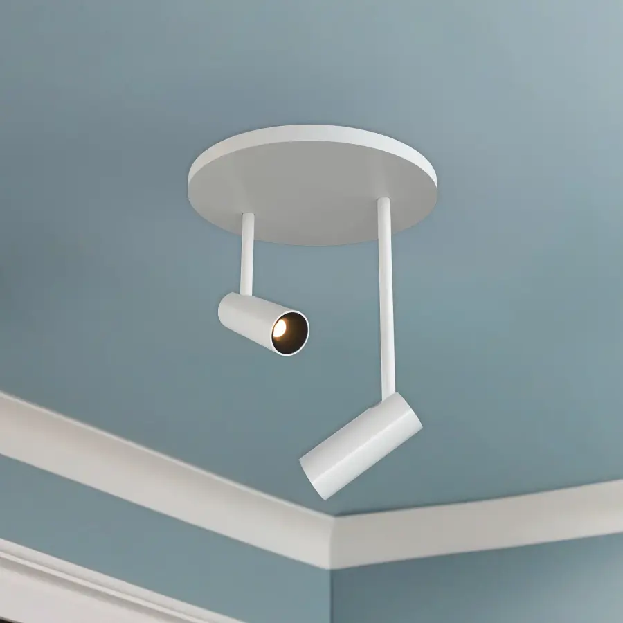 Downey 2-Head Semi-Flush Mount - Image 4