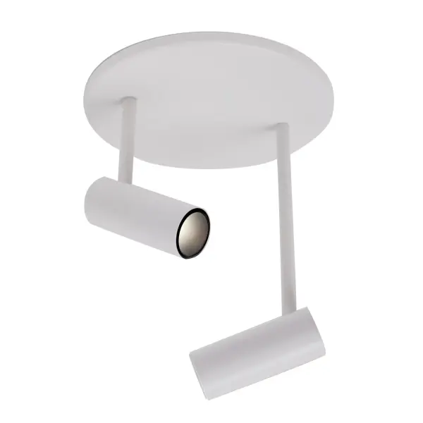 Downey 2-Head Semi-Flush Mount - Image 5