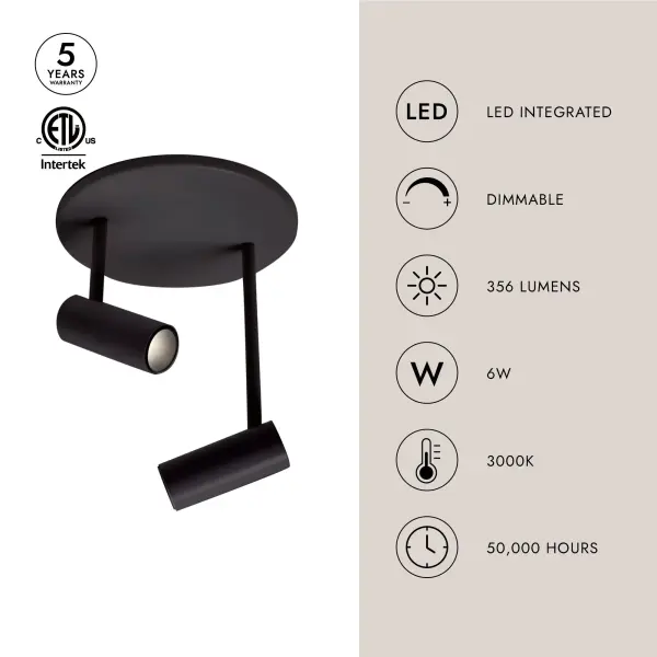 Downey 2-Head Semi-Flush Mount - Image 7