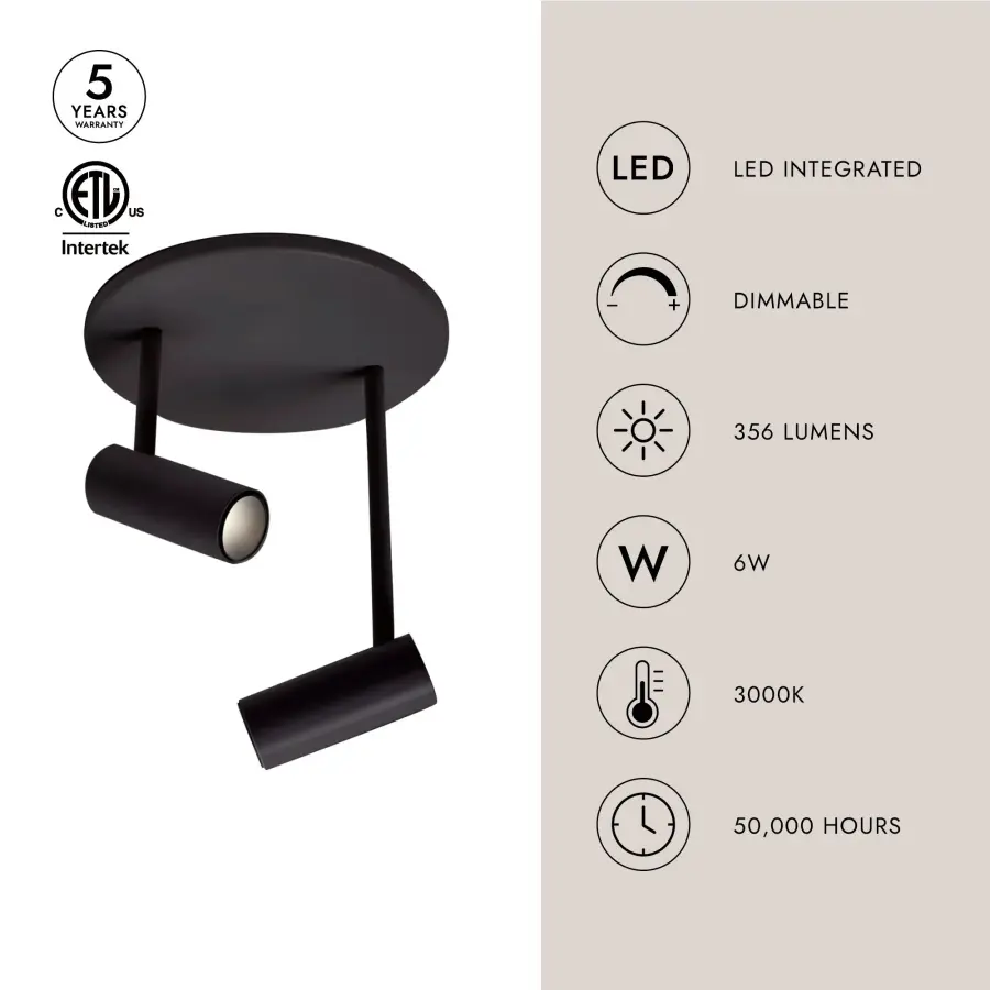 Downey 2-Head Semi-Flush Mount - Image 7