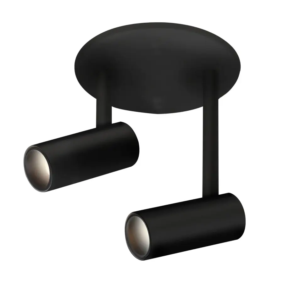 Downey 2-Head Semi-Flush Mount - Image 1