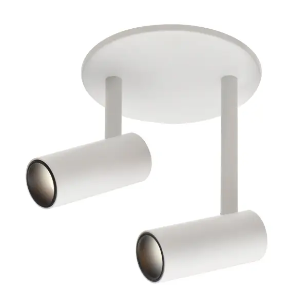 Downey 2-Head Semi-Flush Mount - Image 5