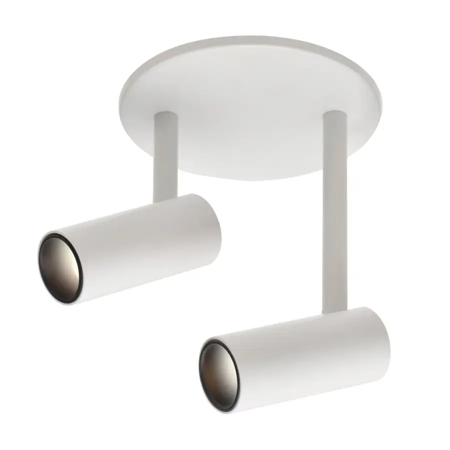Downey 2-Head Semi-Flush Mount - Image 5