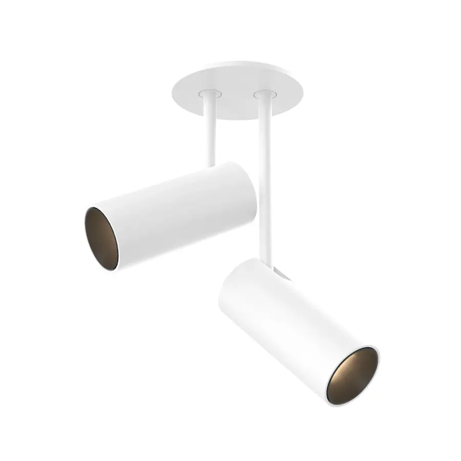 Downey 2-Head Semi-Flush Mount - Image 1