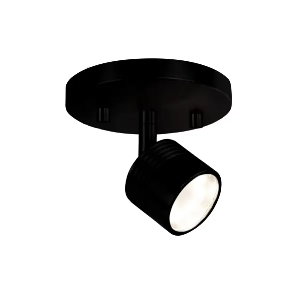 The Lyra track light combines sleek modern design with practical functionality. Its die-cast aluminum construction and adjustable head (360° horizontal, 90° vertical) make it ideal for accent lighting in contemporary spaces.