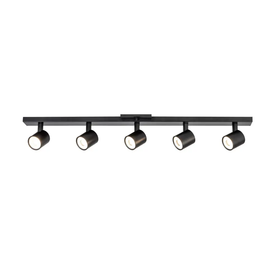 Arnold 5-Head Track Light - Image 1