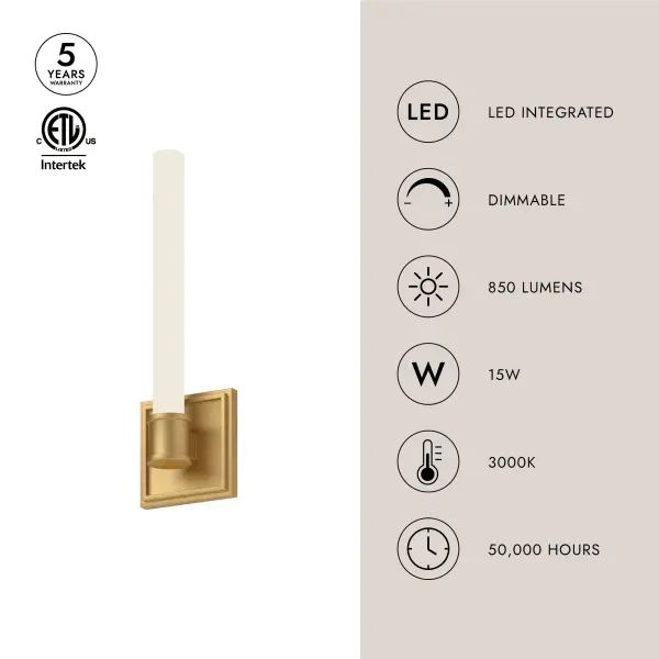 Rona 14-Inch Wall Sconce in Brushed Gold - Image 7