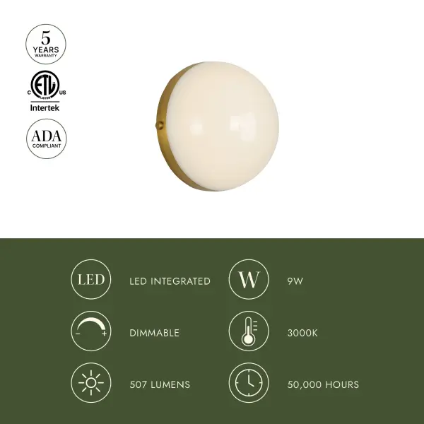 Globo 7-Inch Wall/Vanity Light in Brushed Gold - Image 5