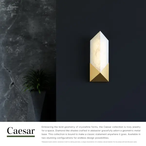 Caesar 12-Inch Wall/Vanity Light - Image 13