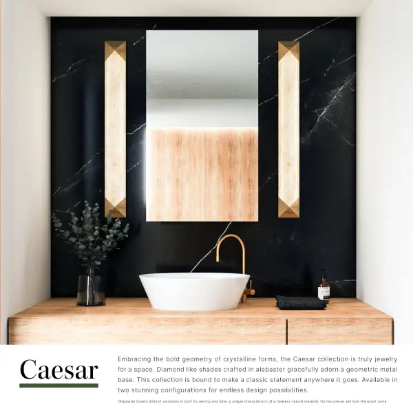 Caesar 25-Inch Wall/Vanity Light - Image 13