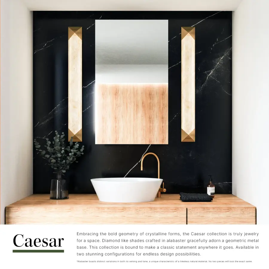 Caesar 25-Inch Wall/Vanity Light - Image 13