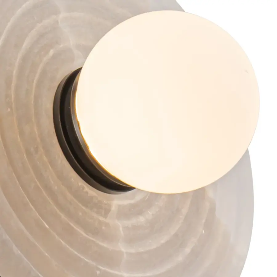 Dahlia 14-Inch Wall/Vanity Light - Image 3