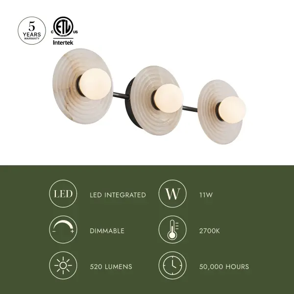 Dahlia 22-Inch Wall/Vanity Light in Vintage Brass - Image 11
