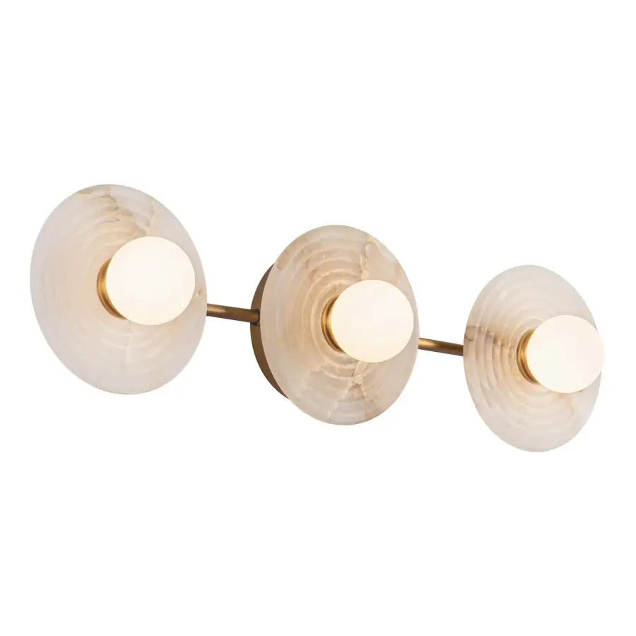 Dahlia 22-Inch Wall/Vanity Light in Vintage Brass - Image 6