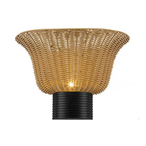Rancho 14-Inch Wall Sconce - Image 7
