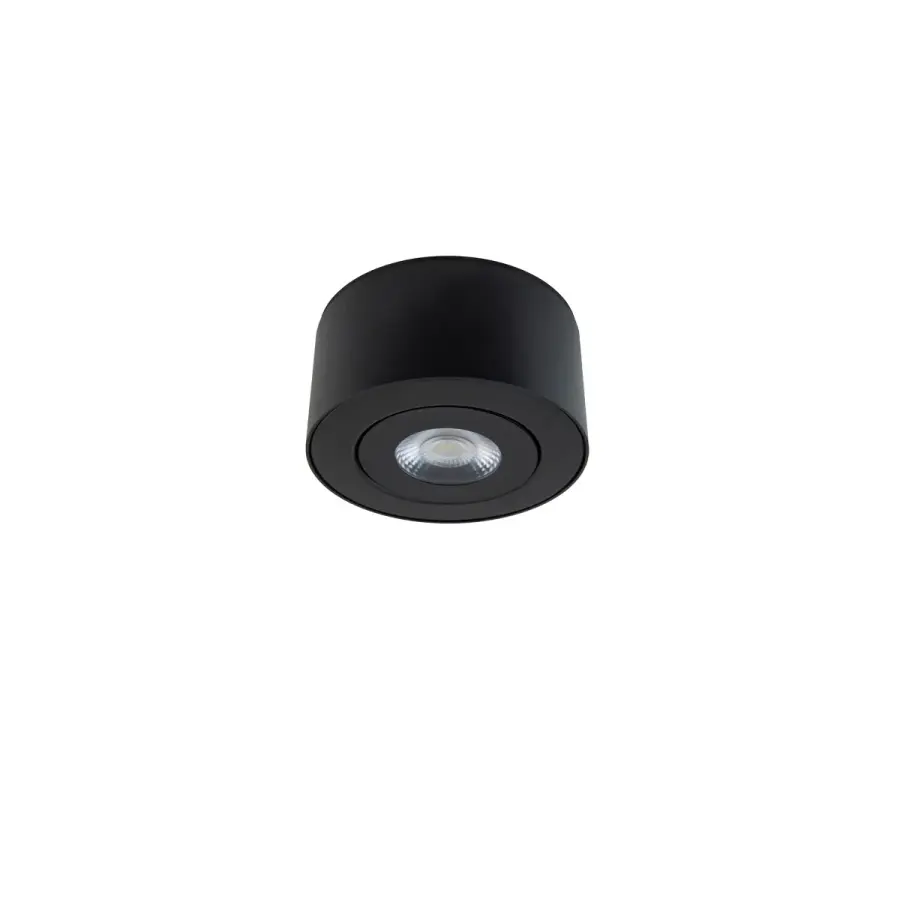 I Spy 5" LED Outdoor Flush Mount Light
