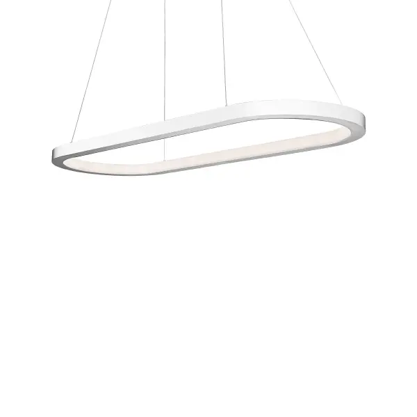 The Racetrack pendant delivers continuous, glare-free LED illumination in a distinctive oval profile. Its brushed aluminum finish and integrated 2700K LEDs create warm, functional lighting perfect for modern dining and workspace applications.