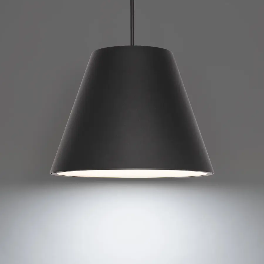 Myla 20" LED Outdoor Pendant Light