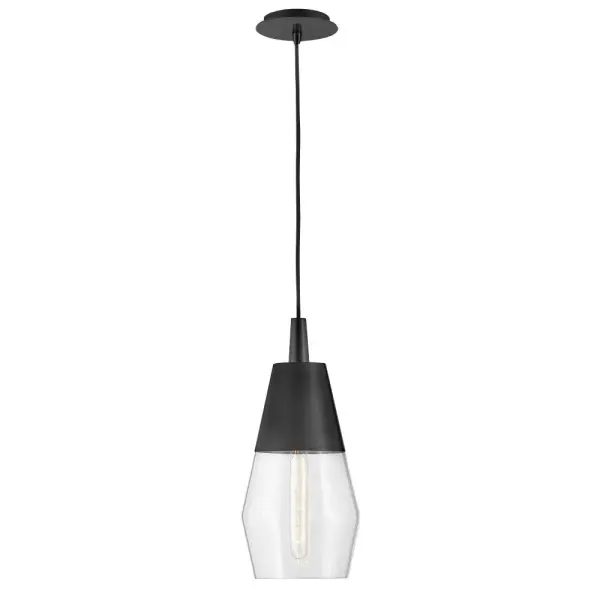 Livie Small Single Light Convertible Pendant - Image 1