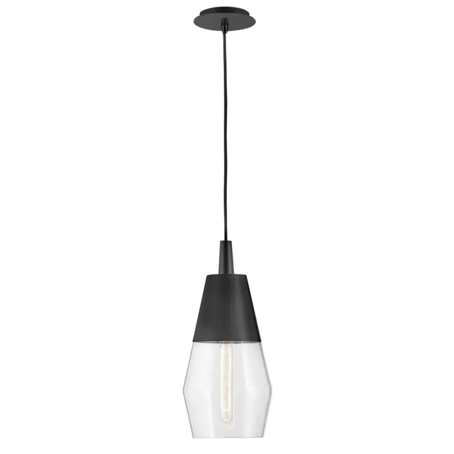 Livie Small Single Light Convertible Pendant - Image 1