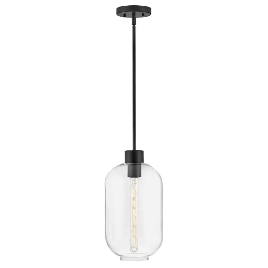 Modern Elegance with Oversized Clear Glass Shade - Image 1