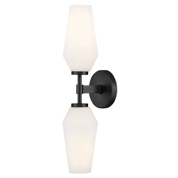 Gio Large Two Light Sconce in Black - Image 1