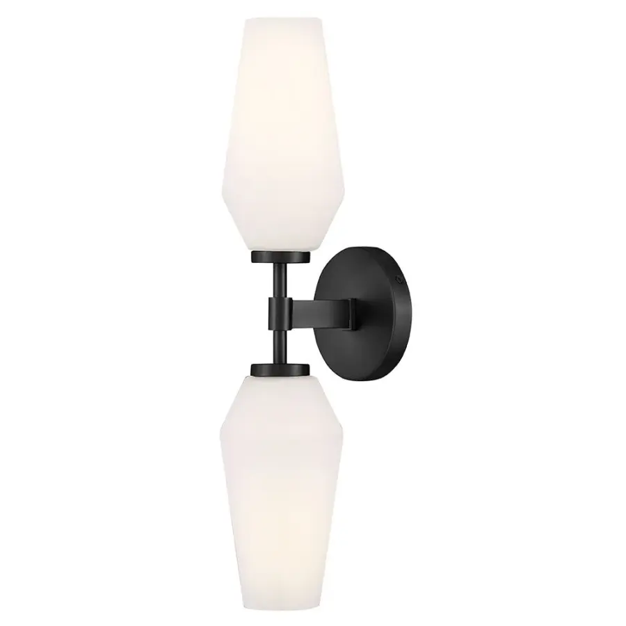 Gio Large Two Light Sconce in Black - Image 1