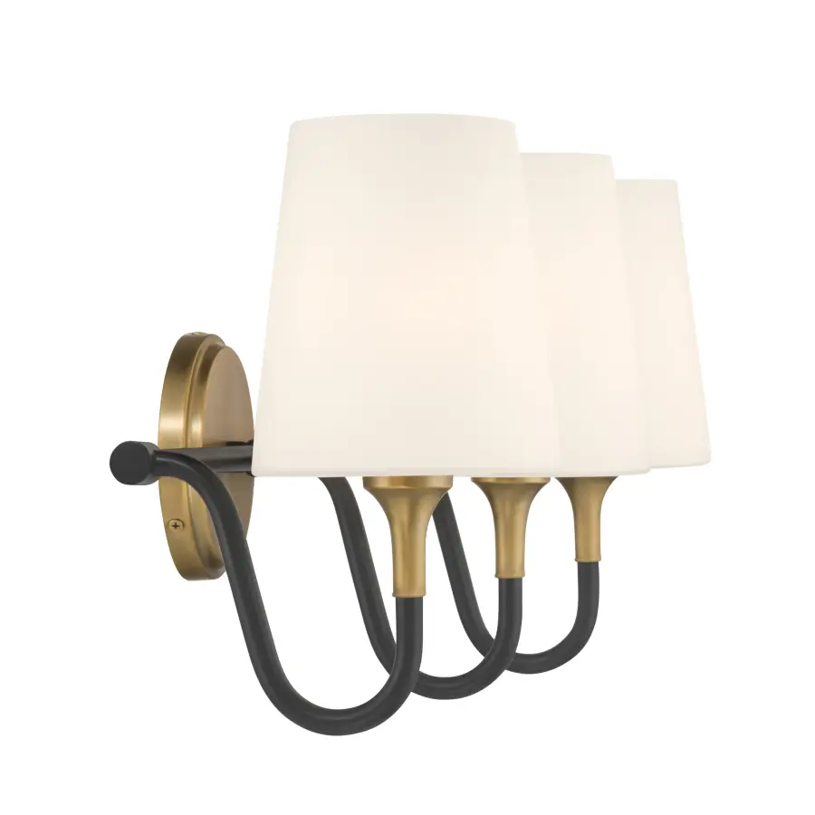 Brienne 24.5" 3-Light Vanity in Legacy Brass and Dark Matte Black - Image 3