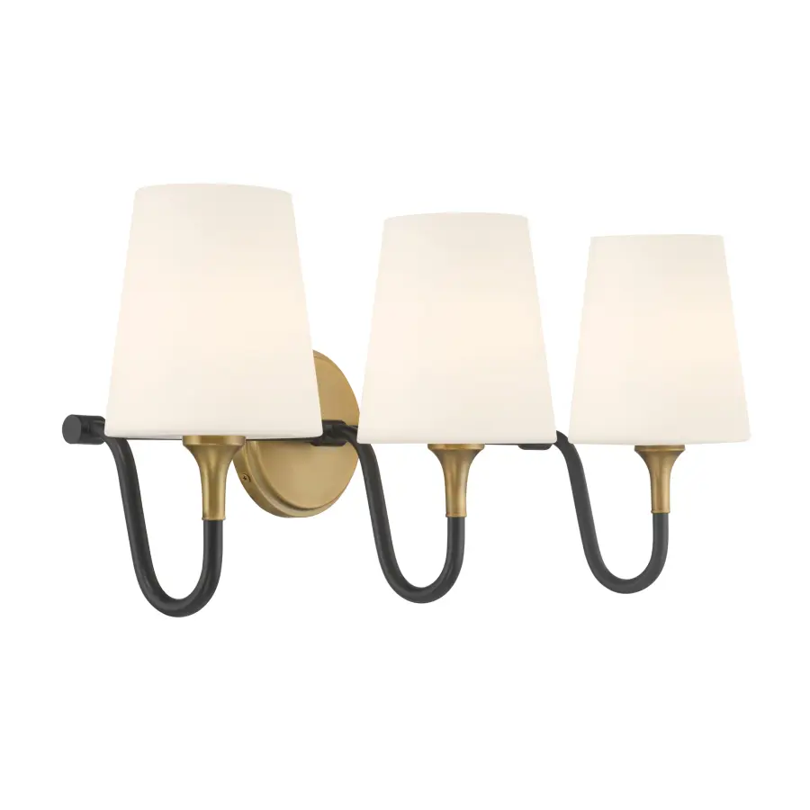 Brienne 24.5" 3-Light Vanity in Legacy Brass and Dark Matte Black - Image 4