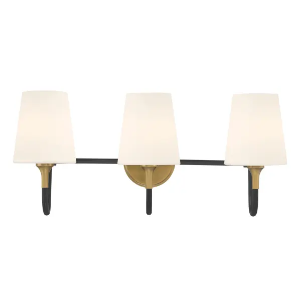 Brienne 24.5" 3-Light Vanity in Legacy Brass and Dark Matte Black - Image 6
