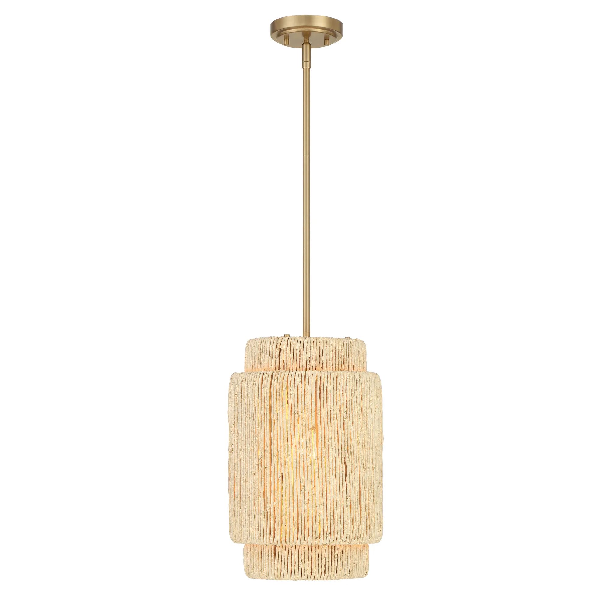 Caviana 1 Light Pendant in Signature Brass