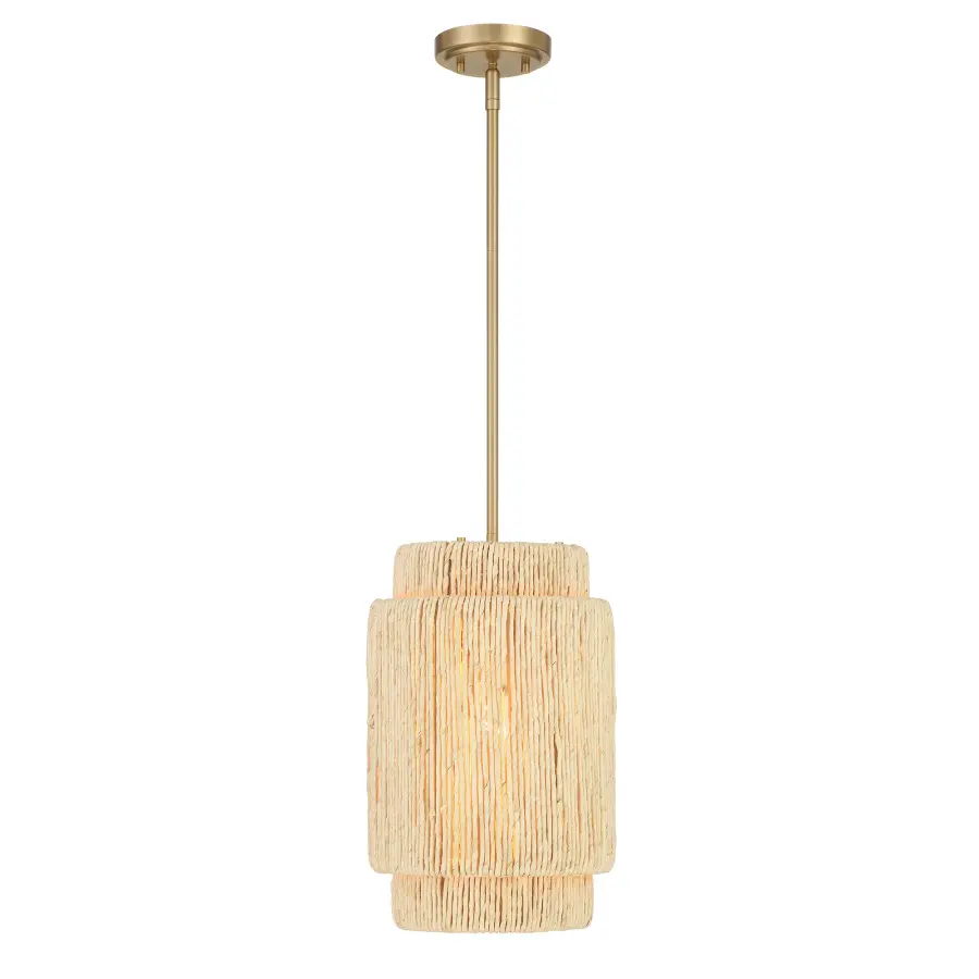 Caviana 1 Light Pendant in Signature Brass - Image 1