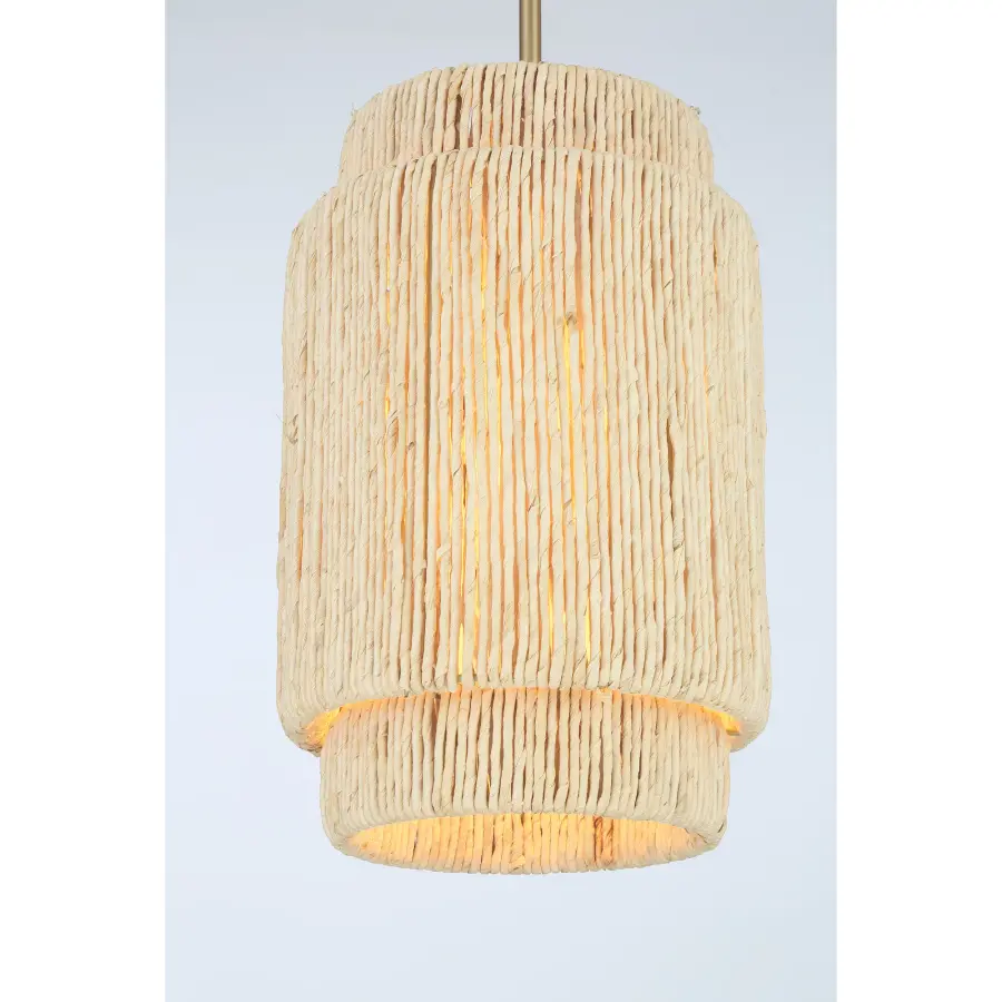 Caviana 1 Light Pendant in Signature Brass - Image 2