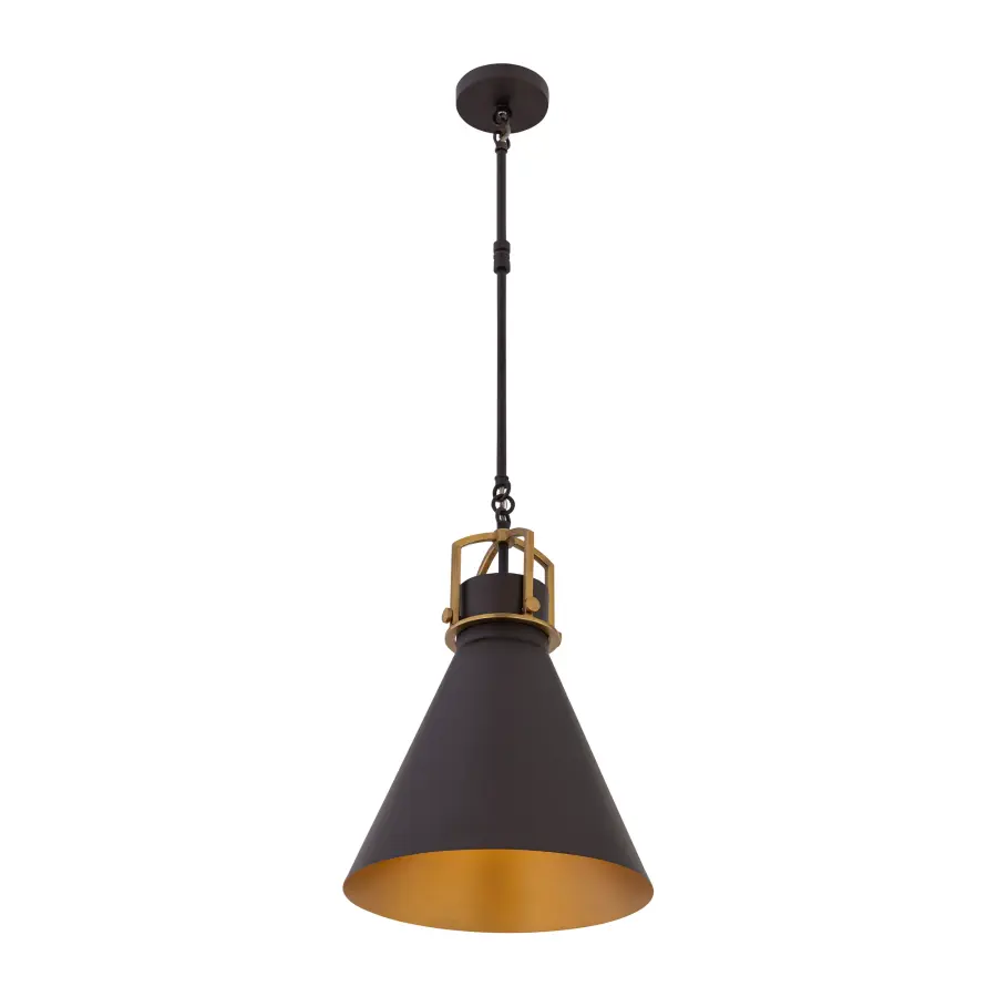 Fenric 13.75" 1-Light Pendant in Dark Bronze and Legacy Brass - Image 8