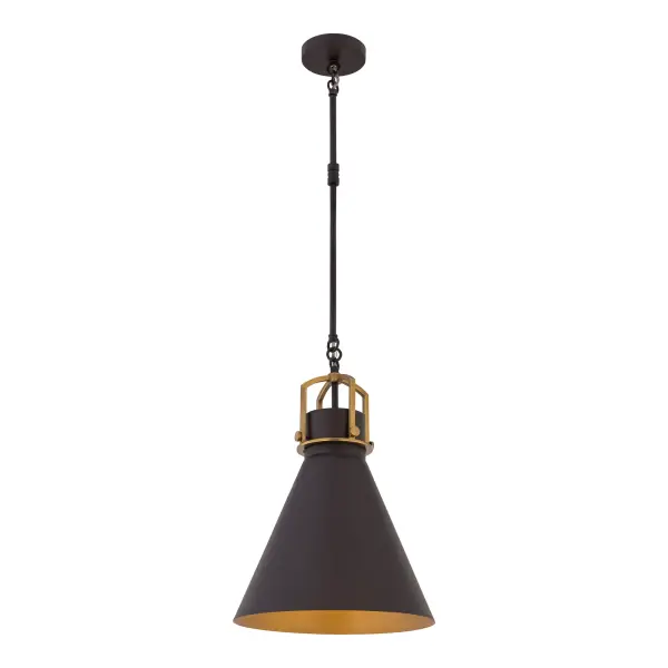 Fenric 13.75" 1-Light Pendant in Dark Bronze and Legacy Brass - Image 9
