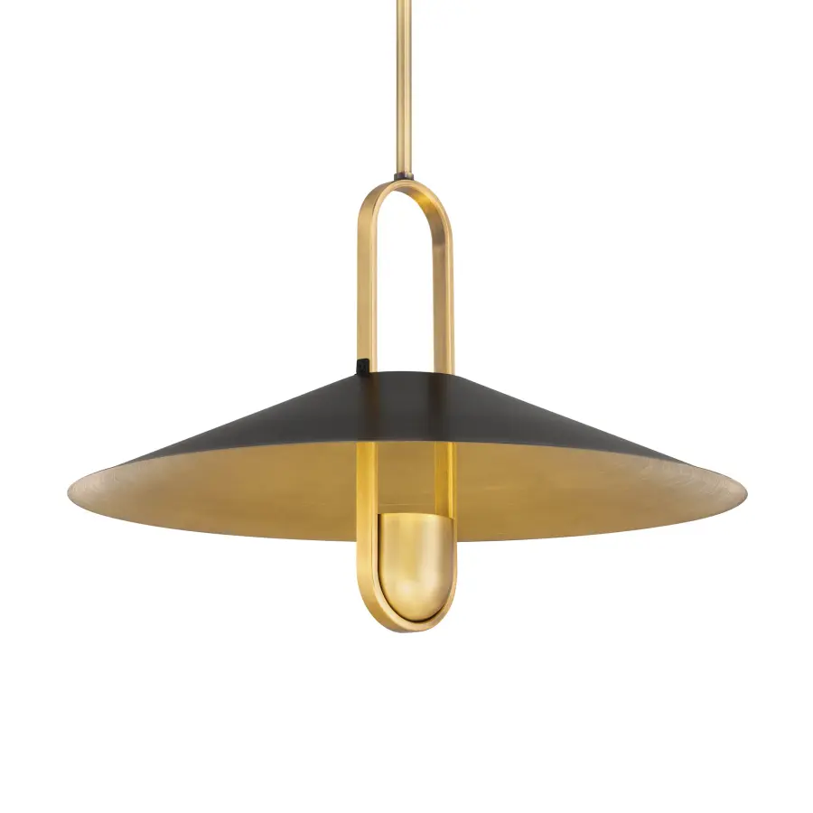 Goldenridge 20" 1-Light Pendant - Image 1
