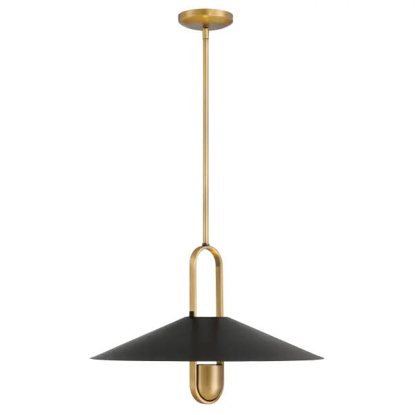 Goldenridge 20" 1-Light Pendant - Image 11