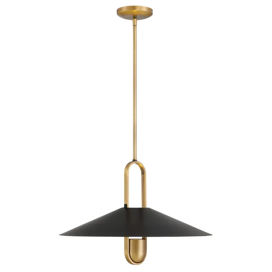 Goldenridge 20" 1-Light Pendant - Image 11