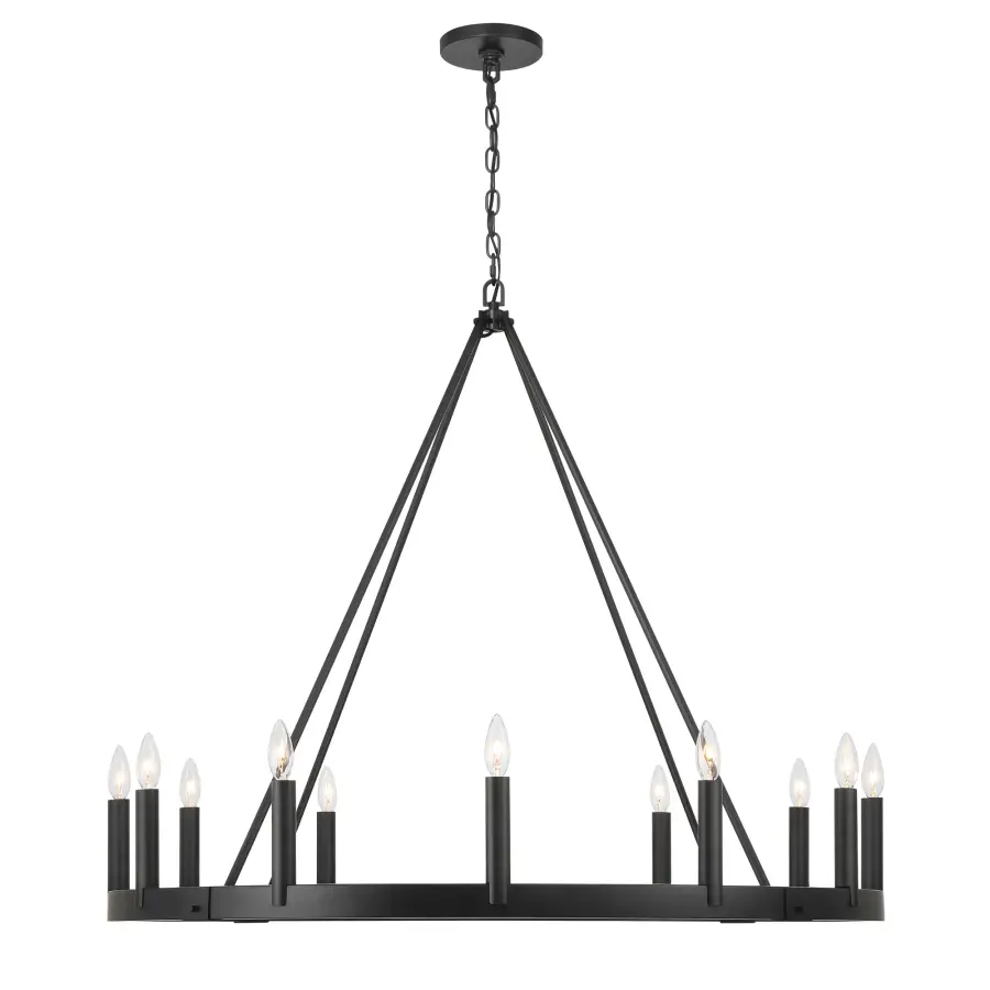 Dutton 12-Light Chandelier in Coal Black - Image 1