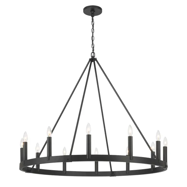 Dutton 12-Light Chandelier in Coal Black - Image 4
