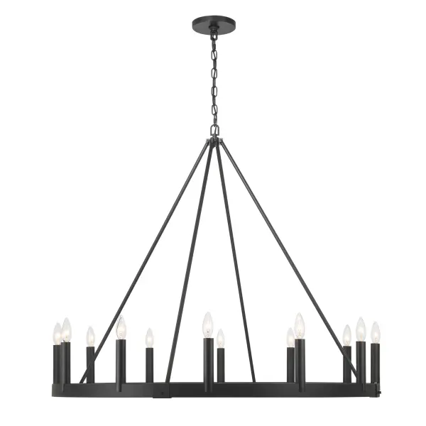 Dutton 12-Light Chandelier in Coal Black - Image 5