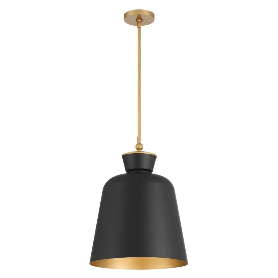 Holloway 15" 1-Light Pendant in Dark Matte Black and Legacy Brass - Image 5