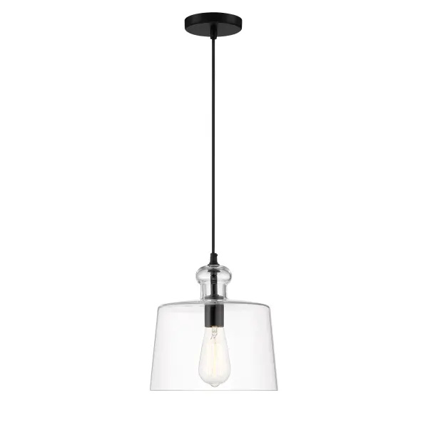 Clarity 1-Light Pendant in Coal Black - Image 1